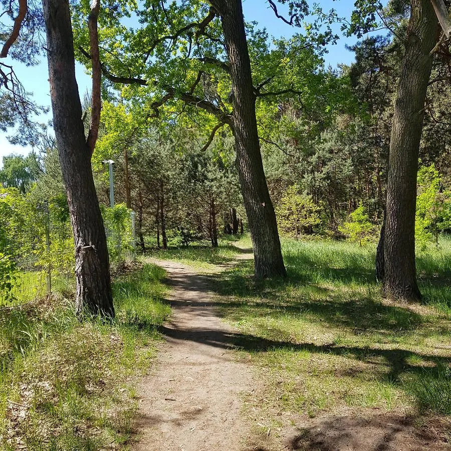 JPapartments Nadmorski Park Gdańsk Lägenhet